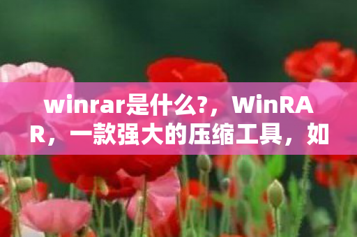 如何成为你的文件管理工具图片