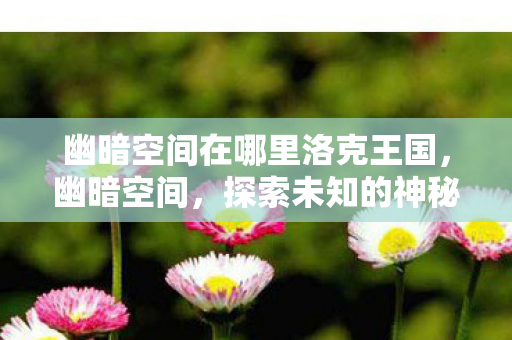 幽暗空间在哪里洛克王国图片