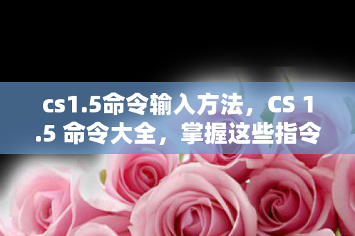 cs1.5命令输入方法，CS 1.5 命令大全，掌握这些指令，轻松成为游戏高手