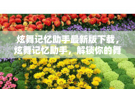 炫舞记忆助手最新版下载图片