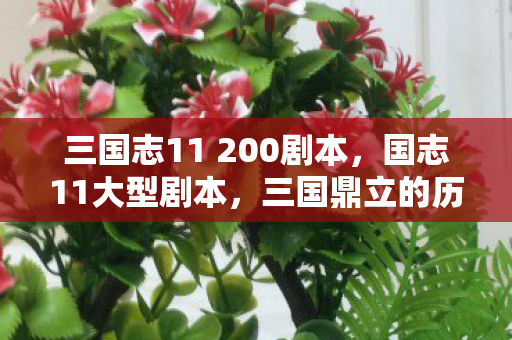 三国志11 200剧本图片