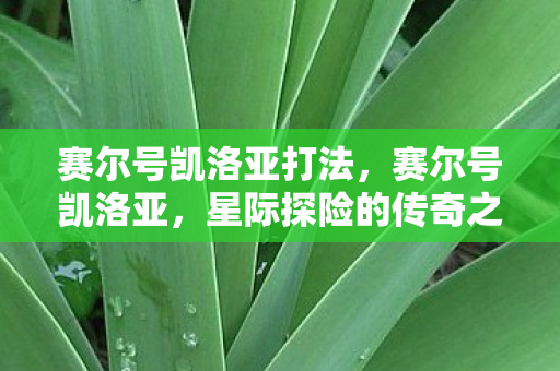 星际探险的传奇之旅图片