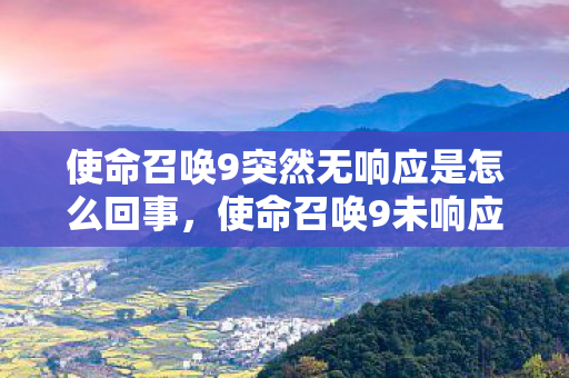 使命召唤9突然无响应是怎么回事图片