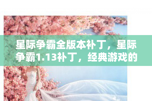 星际争霸全版本补丁图片