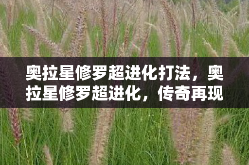 奥拉星修罗超进化打法图片