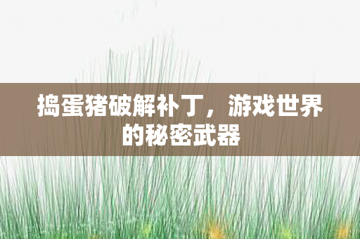 捣蛋猪破解补丁，游戏世界的秘密武器