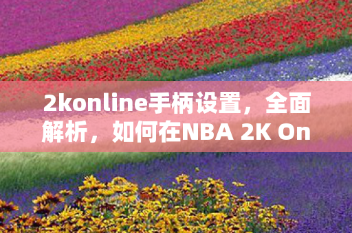 2konline手柄设置，全面解析，如何在NBA 2K Online中利用手柄优势玩转游戏