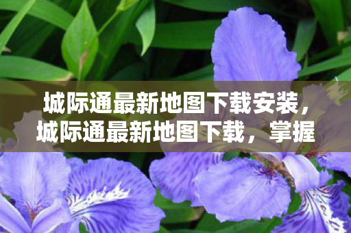 城际通最新地图下载安装图片