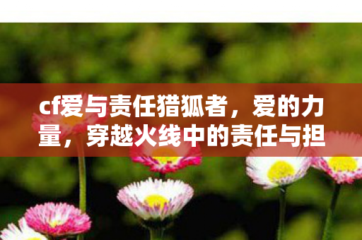 穿越火线中的责任与担当图片