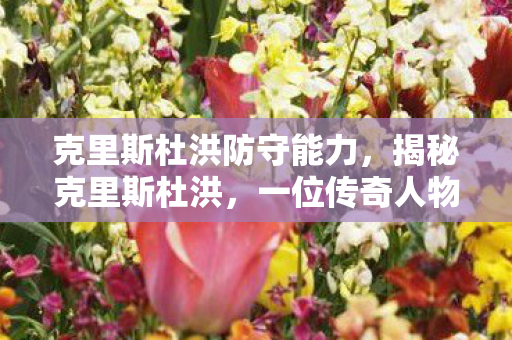 克里斯杜洪防守能力，揭秘克里斯杜洪，一位传奇人物的非凡人生