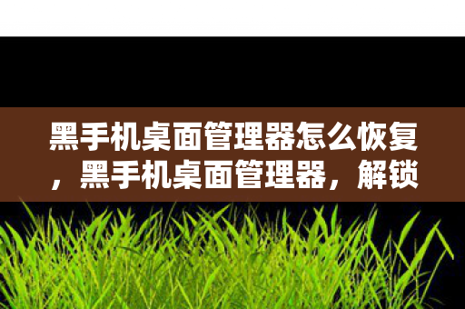 黑手机桌面管理器怎么恢复图片