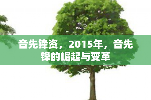 音先锋的崛起与变革图片