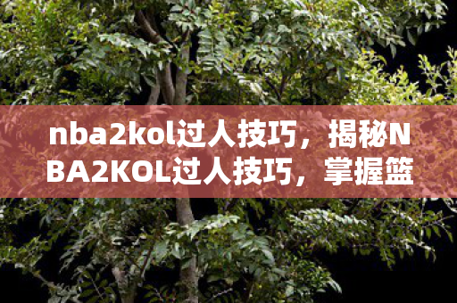 nba2kol过人技巧，揭秘NBA2KOL过人技巧，掌握篮球艺术的精髓