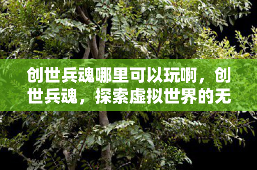 探索虚拟世界的无限可能图片