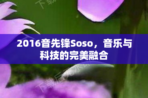 2016音先锋Soso图片