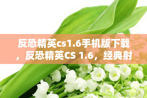 反恐精英cs1.6手机版下载，反恐精英CS 1.6，经典射击游戏的魅力与传承