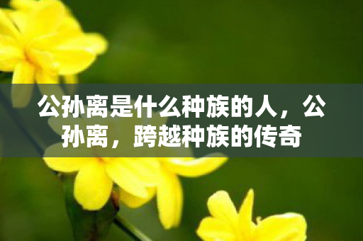 公孙离是什么种族的人图片