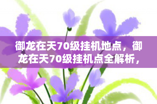 御龙在天70级挂机点全解析图片