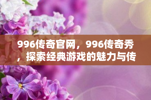 探索经典游戏的魅力与传承图片