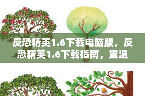 反恐精英1.6下载电脑版，反恐精英1.6下载指南，重温经典游戏的步骤与注意事项