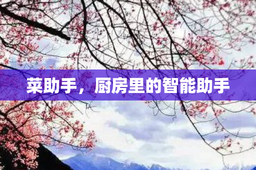 厨房里的智能助手图片