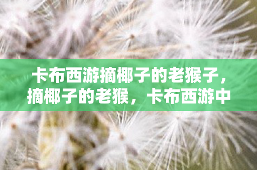 卡布西游摘椰子的老猴子图片