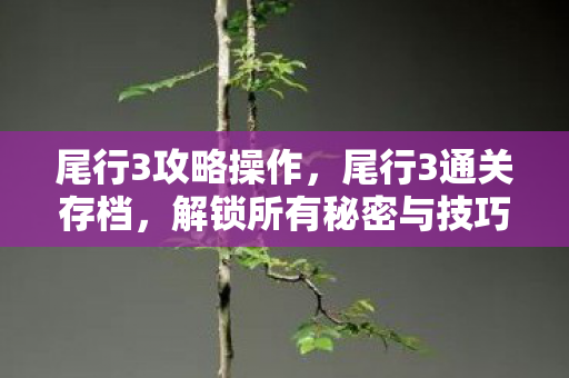解锁所有秘密与技巧图片