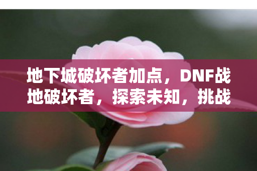 地下城破坏者加点图片