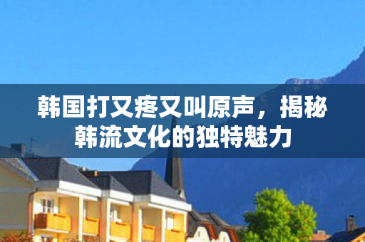 揭秘韩流文化的独特魅力图片