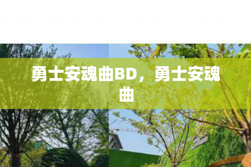 勇士安魂曲BD图片