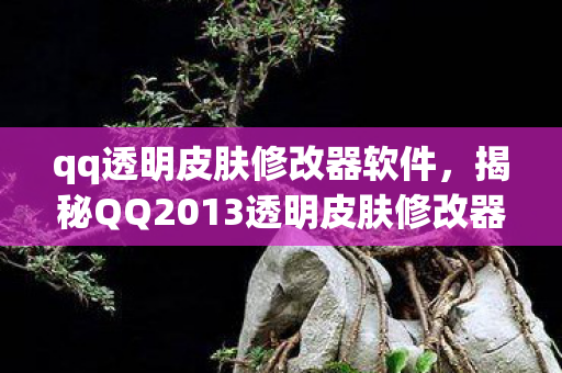 揭秘QQ2013透明皮肤修改器图片