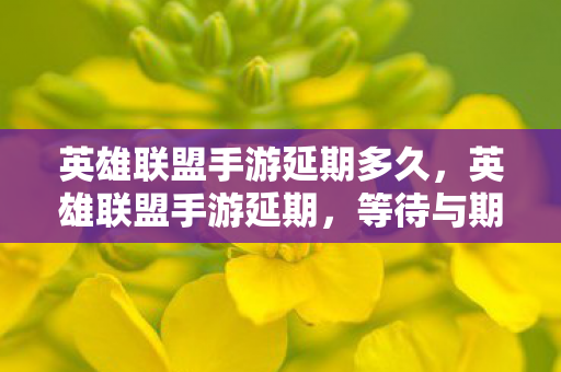 英雄联盟手游延期多久图片