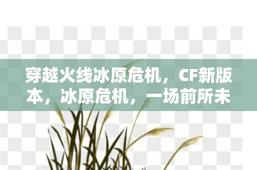 一场前所未有的冒险图片