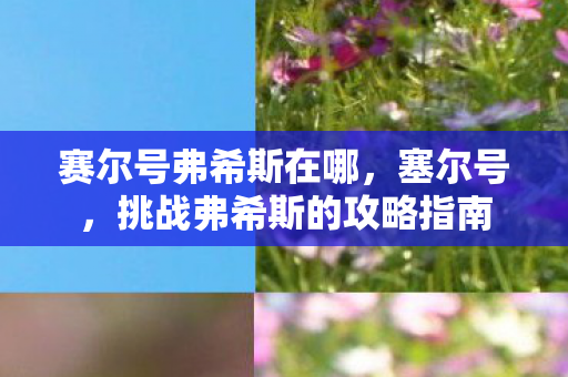 挑战弗希斯的攻略指南图片