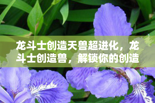 解锁你的创造力与冒险精神图片