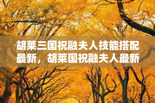 胡莱国祝融夫人最新技能搭配攻略图片