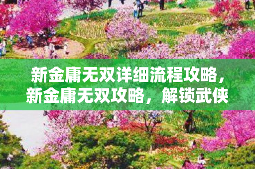 新金庸无双详细流程攻略图片