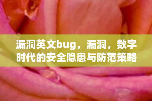 漏洞英文bug，漏洞，数字时代的安全隐患与防范策略