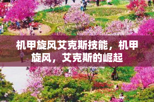 机甲旋风艾克斯技能图片