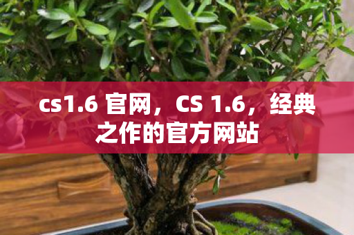 cs1.6 官网，CS 1.6，经典之作的官方网站