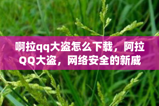 啊拉qq大盗怎么下载图片