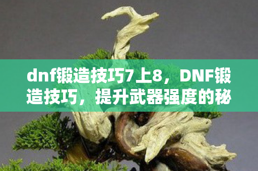 dnf锻造技巧7上8图片