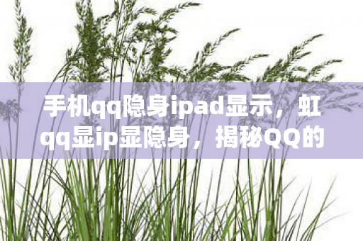 手机qq隐身ipad显示图片