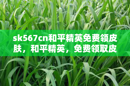 sk567cn和平精英免费领皮肤图片