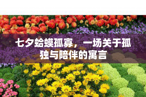 一场关于孤独与陪伴的寓言图片