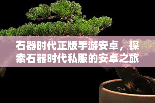 探索石器时代私服的安卓之旅图片