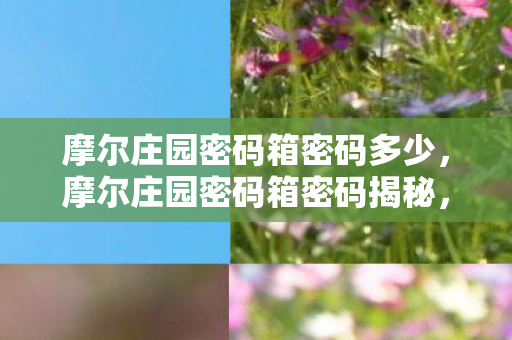 摩尔庄园密码箱密码多少图片