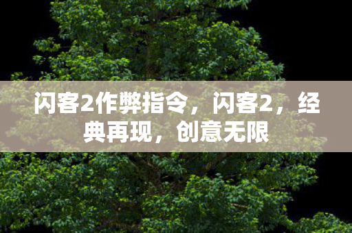 闪客2作弊指令，闪客2，经典再现，创意无限