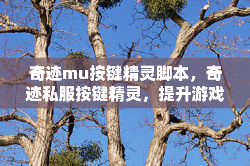 提升游戏体验的得力助手图片