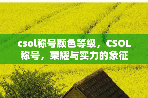 csol称号颜色等级图片